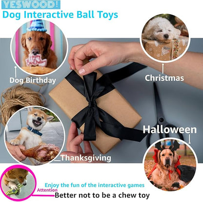 YESWOOD! Fetch Dog Toy Small Breed,Dog Ball with Rope Attached for Small and Medium Breed 0-80 Pounds,4-Pack Ball on Rope Puppy Interactive Toy