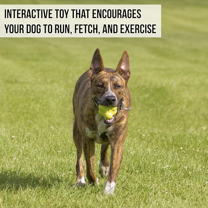 Hyper Pet Fetching Dog Toys - Throwing Bumpy Ball Dog Toy Made with EVA Foam - Lightweight & Floats on Water