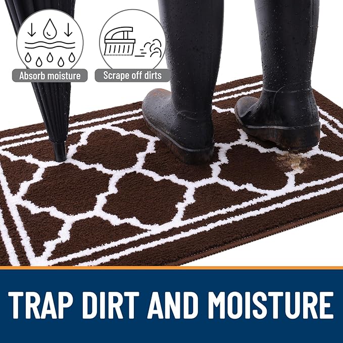 Buganda Indoor Door Mat, Dirt-Resistant and Absorbent Doormat, Anti-Slip, Low Profile Floor Mats for Inside Entryway, Front, and Back Door Entrance (36x24 Inches, Dark Brown)