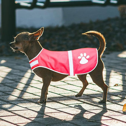 Geyoga 2 Pieces Dog Reflective Vest Adjustable Dog Safety Service Vest Pet High Visibility Apparel Pet Jacket Clothes Safeguard for Hunting Outdoor Walking Night(L,Pink, Blue)
