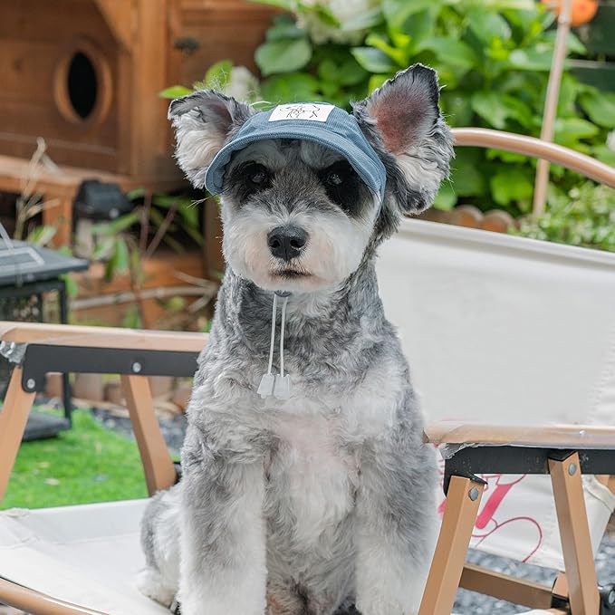 Pet Dog Baseball Cap, Cat Hat, Cat Dog Sun Cap with Ear Holes, Adjustable Puppy Outdoor Sun Hat (Blue, X-Large)