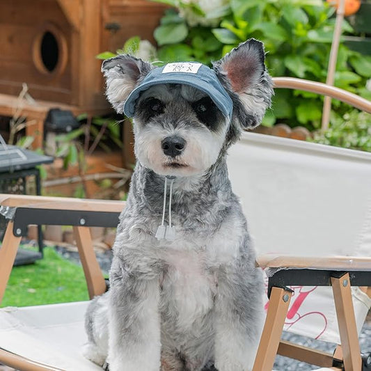 Pet Dog Baseball Cap, Cat Hat, Cat Dog Sun Cap with Ear Holes, Adjustable Puppy Outdoor Sun Hat (Blue, X-Large)