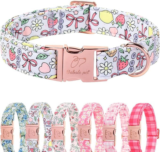 Cute Dog Collar, Spring Summer Pastel Dog Collars, Fruit Garden Dream Puppy Collar, Adjustable Heavy Duty Pet Collar for Small Medium Large Dogs with Metal Buckle XS