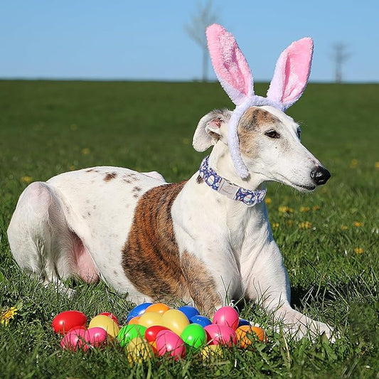 Easter Dog Collar, Cute Easter Bunny Eggs Pet Collar with Metal Buckel, Durable Adjustable Holiday Dog Collars for Small Medium Large Dogs XL