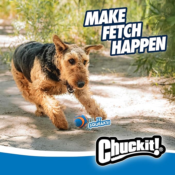 Chuckit! Ultra Squeaker Balls for Dogs, Floating Water Pet Toys, Durable Rubber Pet Toy, Bouncy Squeaky Fetch Balls For Dogs, Pack of 2, Medium (2.5")