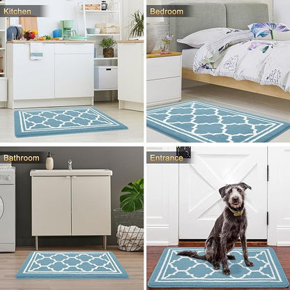 Buganda Indoor Door Mat, Dirt-Resistant and Absorbent Doormat, Anti-Slip, Low Profile Floor Mats for Inside Entryway, Front, and Back Door Entrance (36x24 Inches, Lake Blue)
