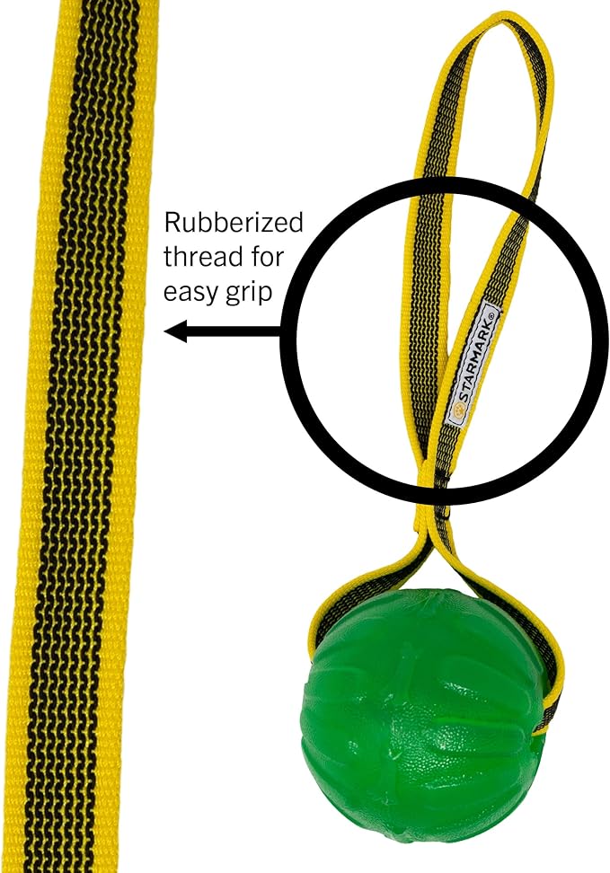 GripCord Chew Ball Loop MdLg