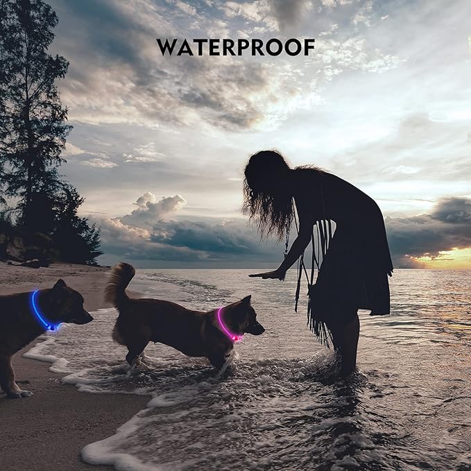 LED Dog Collar, Rechargeable Light Up Dog Collars,IP67 Waterproof Dog Lights for Night Walking，Adjustable, Reusable Safety Necklace for Small Medium Large Dogs (Green)