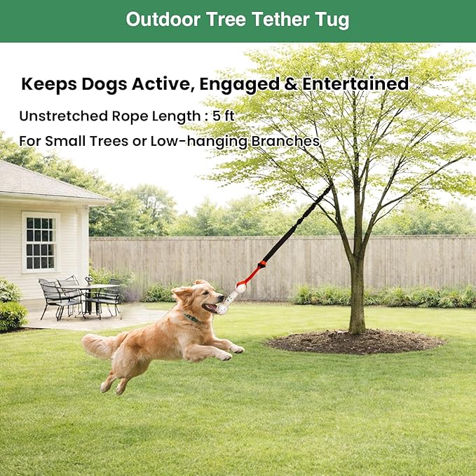 Dog Bungee Tug of War Toy, 4 Pieces Gift for Puppy/Small/Medium Dogs, Indoor Spring Pole Hang Over Door Frame, Outdoor Tether Tug Rope for Yard/Tree, Interactive Pull Toy for Self Play