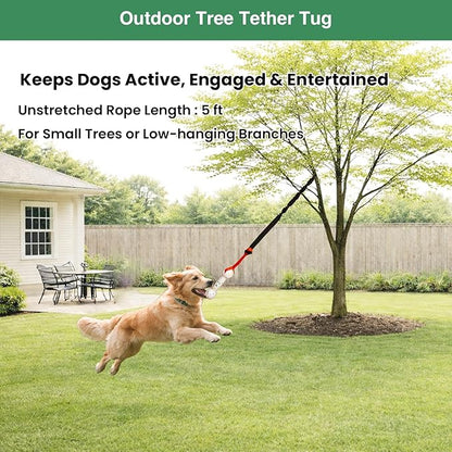Dog Bungee Tug of War Toy, 4 Pieces Gift for Puppy/Small/Medium Dogs, Indoor Spring Pole Hang Over Door Frame, Outdoor Tether Tug Rope for Yard/Tree, Interactive Pull Toy for Self Play