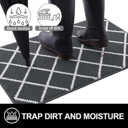 Finchitty Indoor Door Mat, Dirt Resistant and Absorbent, Low-Profile, Non-Slip, Washable Inside Floor Mats for Front Door, Back, and Entrance, 36" x 24", Charcoal