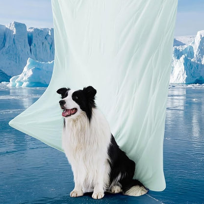 Bedsure Cooling Blanket for Bed with Breathable Air-Core Fill Q-MAX>0.4 - Lightweight Pet Cat Throw Cold Blanket Washable for Summer，Soft Dog Cooling Mat for Couch, Pale Jade, 60x80