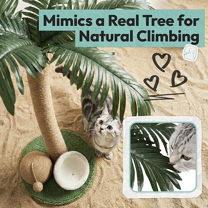 33" Tall Cat Scratching Post, Natural Jute Cat Scratcher for Indoor Cats,Twin Coconuts & Tree Design with Hanging Toy Ball & Rest Platform,Stable Furniture Protector for Kittens & Adult Cats,M