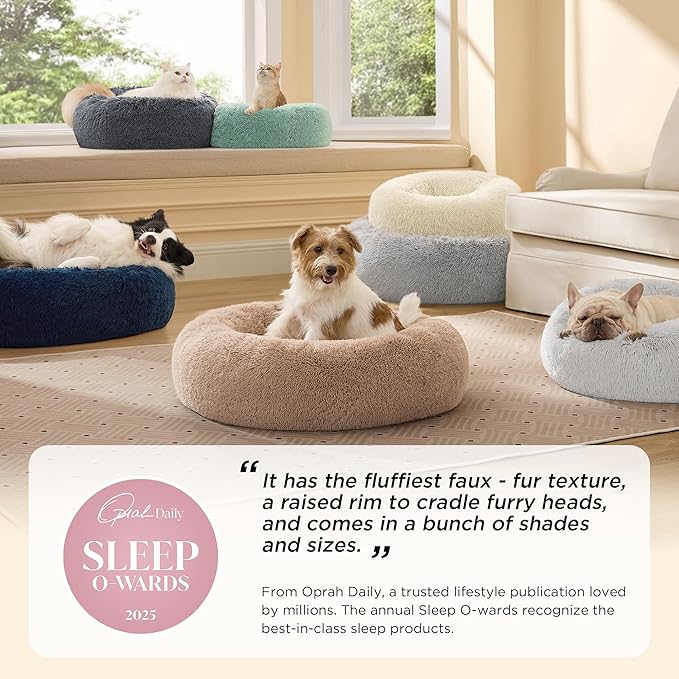 Bedsure Calming Cat Beds for Indoor Cats - Small Cat Bed Washable 20 inches, Anti-Slip Round Fluffy Plush Faux Fur Pet Bed, Fits up to 15 lbs Pets, Garden Green