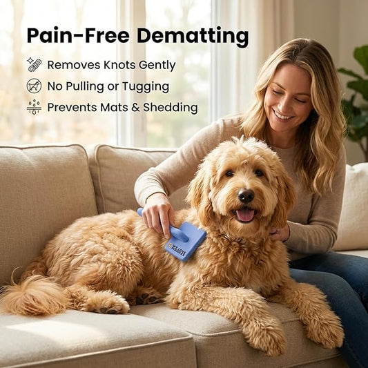 Slicker Brush for Dogs, Dog Grooming Supplies - Best Doodle & Poodle Brush for Haired Dogs - Goldendoodle Pin Detangler for Dematting (Large Curved)