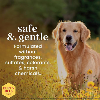 Burt’s Bees for Pets Oatmeal Dog Shampoo with Honey, Soothing Dog Shampoo for Itchy and Sensitive Skin, pH Balanced Formula that Gently Cleans and Moisturizes Dog Coats, 32 Fl Oz - 2 Pack