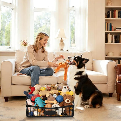 Dog Toy Basket, Dog Toy Storage Durable Chew Pet Toy Bin for Pet-Friendly Access Pet Toy Basket with Handles, Foldable