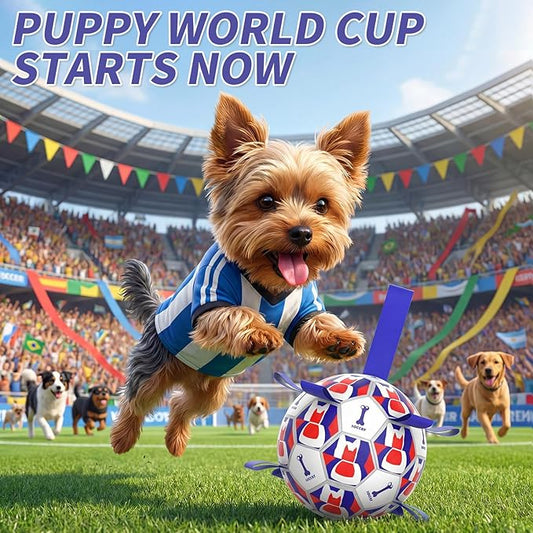 Interactive Dog Ball Toys, 2026 Dog Soccer Ball with Thicken Straps for Small Medium Breeds Tug of War, Small Herding Balls with Pump for Puppy Dogs Outdoor Play Training (Blue, 6 Inch)