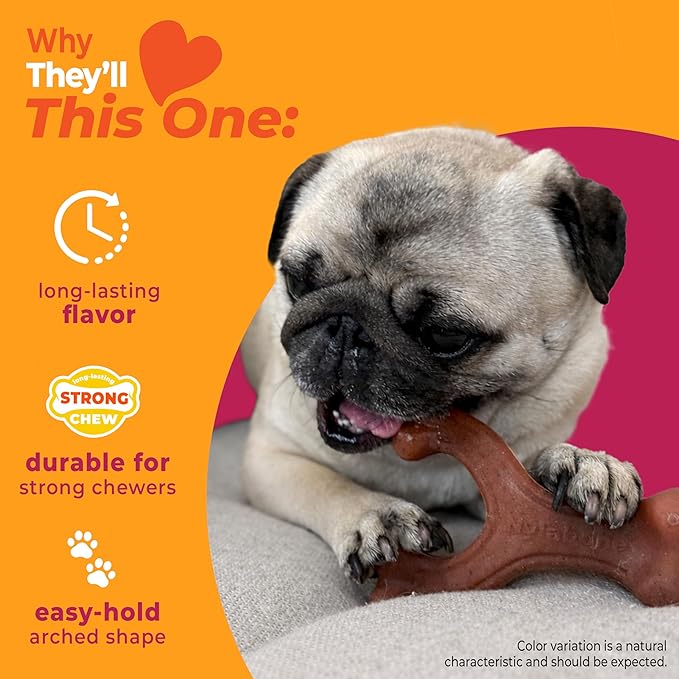 Nylabone Wishbone Strong Chew Toy for Dogs Made with Real Bacon, Durable Dog Chew Bones for Aggressive Chewers, Long-Lasting Flavor Keeps Dogs Busy, Small Dog Toys - Up to 25 lbs, 1 Count
