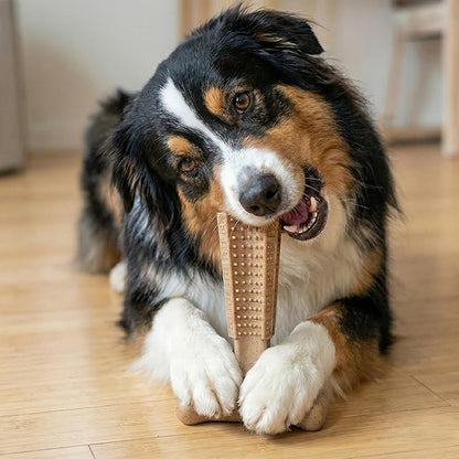 SPOT Bam-Bones Plus T-Bone, Bamboo Fiber & Nylon Dog Chew, Durable for Aggressive Chewers, Non-Splintering, for Adult Dogs & Teething Puppies Under 60lbs, 6in, Chicken Flavor