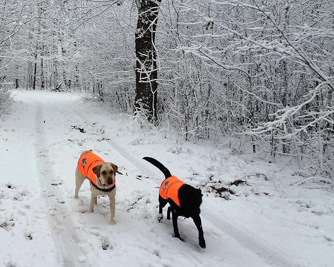 SafetyPUP XD Reflective Dog Vest. Hi-Visibility, Fluorescent Blaze Orange Dog Vest Helps Protect Your Best Friend. Safeguard Your PUP from Motorists & Hunting Accidents, On or Off Leash (Large)