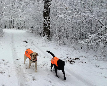 SafetyPUP XD Reflective Dog Vest. Hi-Visibility, Fluorescent Blaze Orange Dog Vest Helps Protect Your Best Friend. Safeguard Your PUP from Motorists & Hunting Accidents, On or Off Leash (Large)
