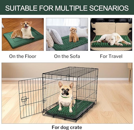 Washable Dog Bed Plush Orthopedic Outdoor Crate Mat with Non-Slip Bottom,Luxe Soft Kennel Pad for Pets,Cozy Cage Cushion & Pet Sleeping Mattress Large Sized,Medium,Small Dogs,30 x 20 inch,Green