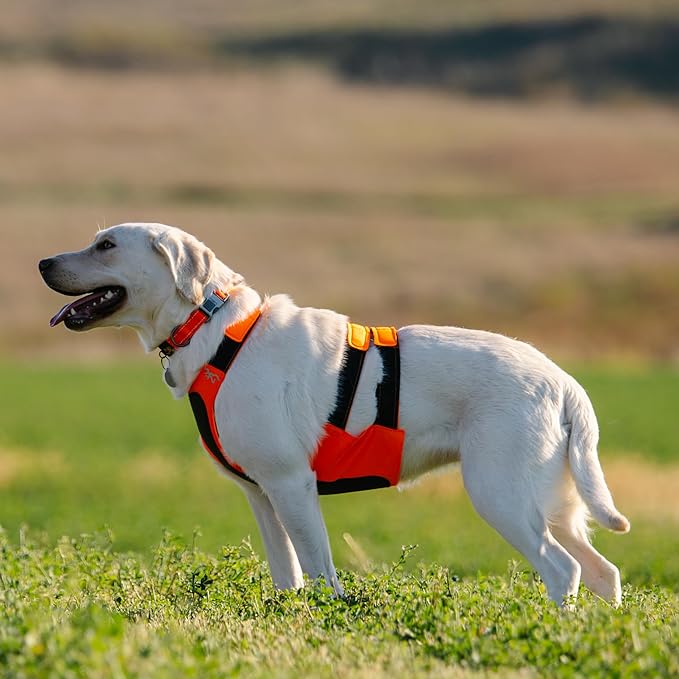 Browning Pet Vests, Hi Vis Safety Vests for Dogs, Safety Orange, Medium, Chest Protection Vest