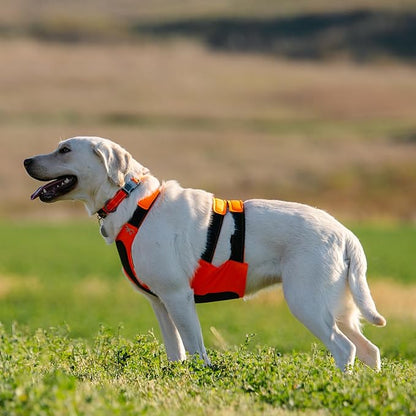 Browning Pet Vests, Hi Vis Safety Vests for Dogs, Safety Orange, Medium, Chest Protection Vest