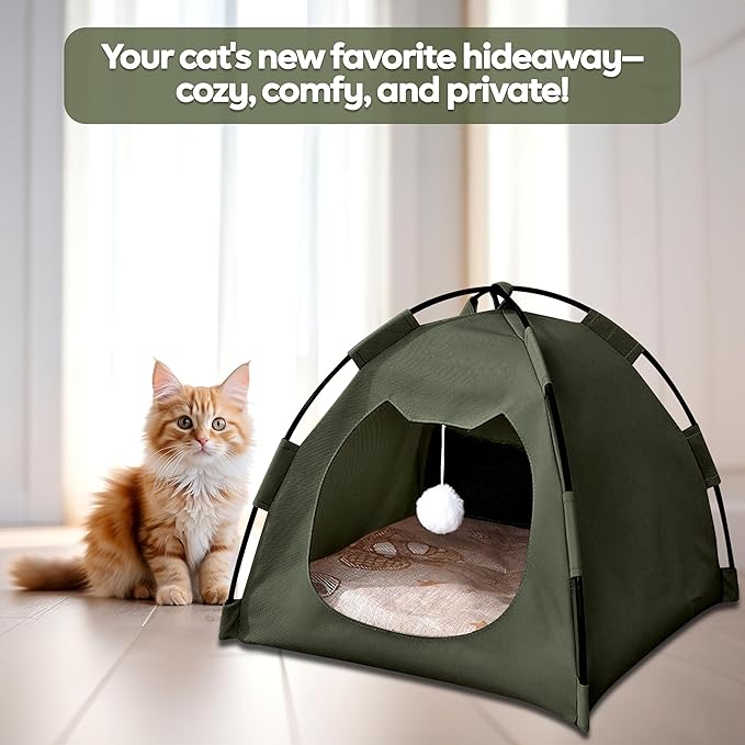 GLOBHARB Cat Tent, Cat Tent Bed, Tent for Cats, Cat Tent Bed for Indoor Cats, Tent for Cats Indoor, Mini Tent for Pets, Tiny Cat Tent, Cat House Tent, Tents for Cats, Mini Tent for Cats (Green, M)