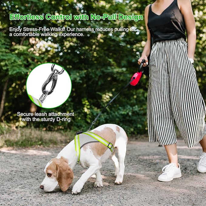 Visinite LED Dog Harness, USB Rechargeable Light Up Dog Vest, 2 Illuminate Modes Glow in The Dark Dog Harness, Adjustable Lighted Pet Harness Light for Night Walking Safety (Green, M)