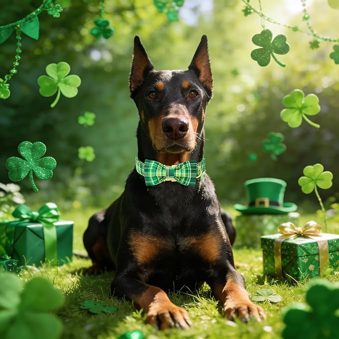 Maca Bates St. Patrick's Day Irish Plaid Dog Collar with Fancy Bow Tie,Shamrock Green Gingham Pattern for Small Girl Boy Dogs,Adjustable Durable Soft Collars Gift for Male Female Puppy