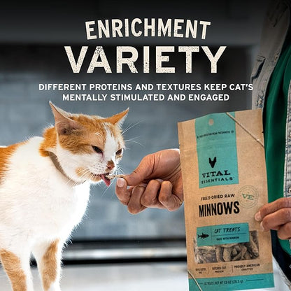 Vital Essentials Freeze Dried Raw Chicken Hearts Cat Treats | Single Ingredient | Premium Quality | Grain Free, Healthy Treats for Cats, 0.8 oz Bag