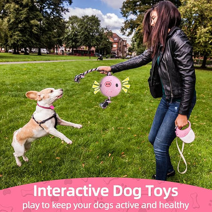 QDAN Dog Rope Dogs Toy: Dog Soccer Ball with Strap, Balls on Rope Plush Outdoor Birthday Toys for Small to Medium(for Medium Dogs, Pig)