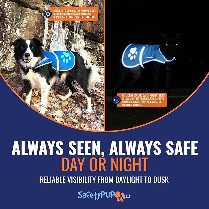 SafetyPUP XD Dog Reflective Vest – Hi-Vis Fluorescent Visibility That Helps to Safeguard Your Pet On/Off Leash in Urban & Rural Areas (Blue, X-Small)