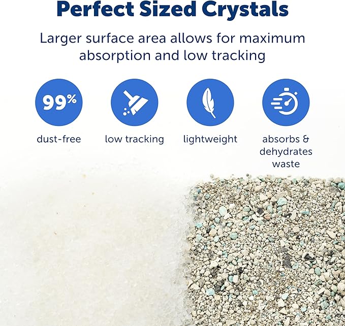 PetSafe ScoopFree Premium Crystal Cat Litter - Outperforms Clay Litter - Refill Packs - Reusable Tray Compatible - Fragrance Free - 4.3 lb Bags - 2 Pack