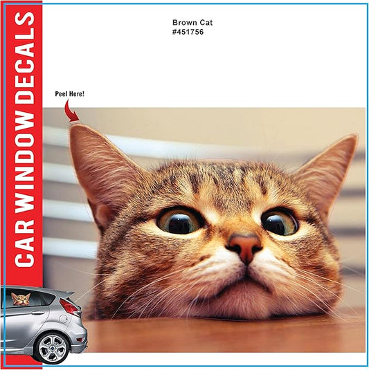 LEMONSODA Cat Car Window Decals Funny 3D Weatherproof Decals (Bengal Cat)