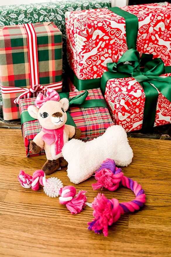 DanDee Rudolph The Red-Nosed Reindeer | 4-Piece Ball, Rope, and Two Squeaker Toy Bundle | Officially Licensed Holiday Pet Gift Sets |Clarice, Pink