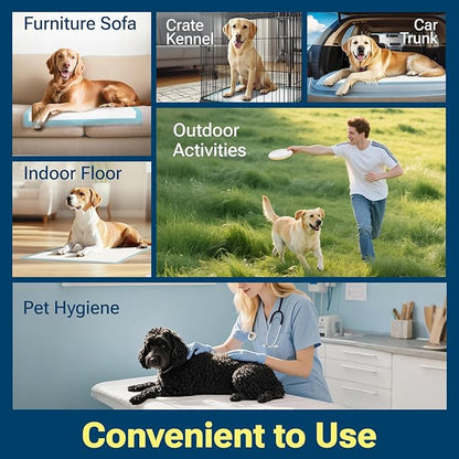 Super Absorbent Puppy Pads 22"x22" 30 Count, Quick Drying Dog Training Pee Pads, Disposable Underpads for Baby and Adults