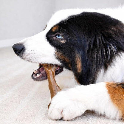 Nylabone Femur Bone Strong Chew Toy for Dogs Made with Real Bison & Venison, Durable Dog Chew Bones for Aggressive Chewers, Long-Lasting Flavor Keeps Dogs Busy, Large Dog Toys - Up to 50 lbs, 1 Count