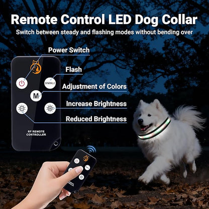 Light Up Dog Collar, USB Rechargeable, Waterproof LED Dog Collar with Remote Control, Adjustable Night Safety Pet LED Collar, Suitable for Small, Medium, and Large Dogs (S)