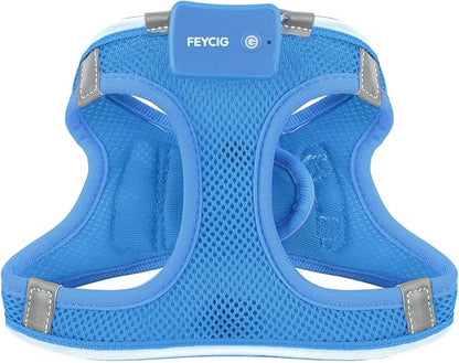 Light Up Dog Harness,Rechargeable LED Dog Harness for Small Medium Large Dogs,Reflective Lighted Safety Vest for Night Walking & Camping,Lightweight & Adjustable,Sky Blue,S