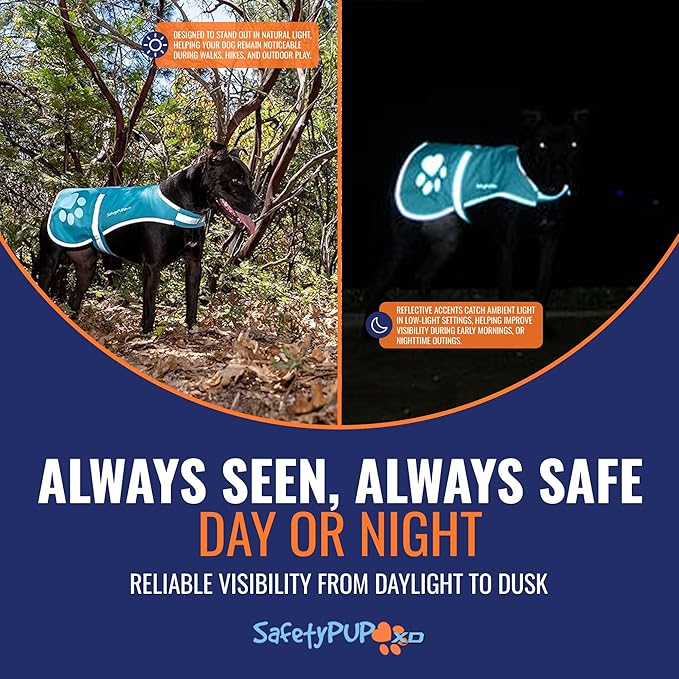 SafetyPUP XD Dog Reflective Vest – Hi-Vis Fluorescent Visibility That Helps to Safeguard Your Pet On/Off Leash in Urban & Rural Areas (Teal, Small)