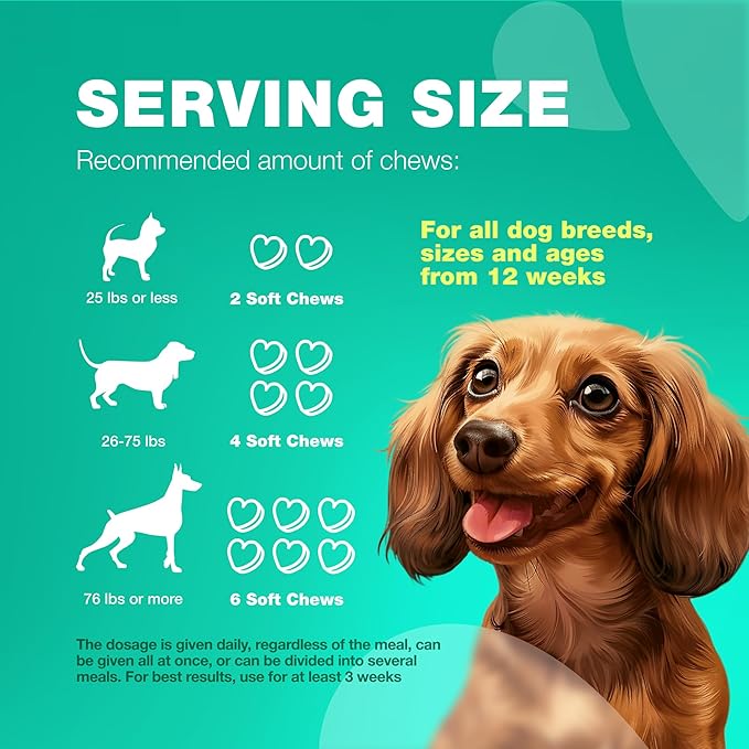 Probiotics for Dogs Gut Health, Digestion, Immunity, Yeast Balance, Itchy Skin, Allergies Support - Dog Probiotic Chews with Digestive Enzymes for Gut Flora- Soft Treats with Pumpkin and Yeast Powder
