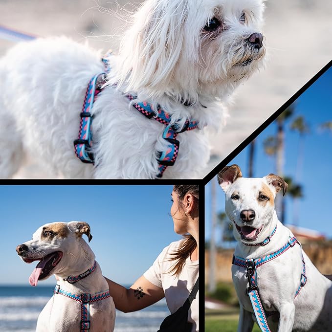 Wolfgang Heavy Duty, Adjustable Dog Collar with Quick Release Nylon Buckle for Walking & Training, BuenaOnda Print, Small