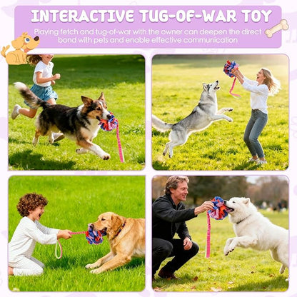 Snuffle Ball with Bungee Tug, Tug of War Rope Toys for Small Medium Dogs, Interactive Dog Toys Puppy Training Pull Toy for Exercise & Interactive Play Games (Purple)