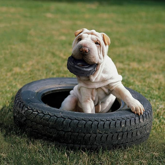 KONG Extreme Tires - KONG's Most Durable Natural Rubber Chew & Fetch Toy - Treat Dispenser Dog Tire Toy - Pet Supplies for Outdoor & Indoor Play - For Small Dogs