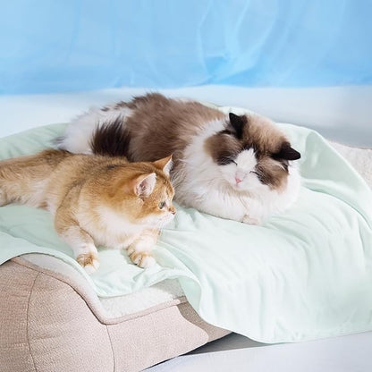 Bedsure Cooling Blanket for Small Dogs with Breathable Air-Core Fill Q-MAX>0.4 - Dog Cooling Mat Soft, Lightweight Pet Cat Throw Cold Blanket Washable for Summer, Pale Jade, 25x35