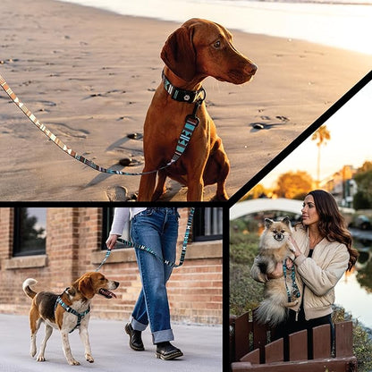 Wolfgang Heavy Duty, Adjustable Dog Collar with Quick Release Nylon Buckle for Walking & Training, WesternSky Print, Small