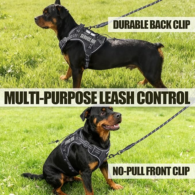 Service Dog Tactical Vest Harness and Leash Set Medium Sized Dog Emotional Support- Tactical Dog Harness Training Collar with Name (Black, L)